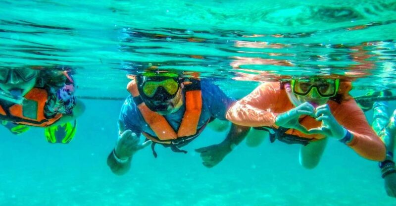 Tulum: Akumal Turtles and Cenote Swim Private Tour - Activity Highlights