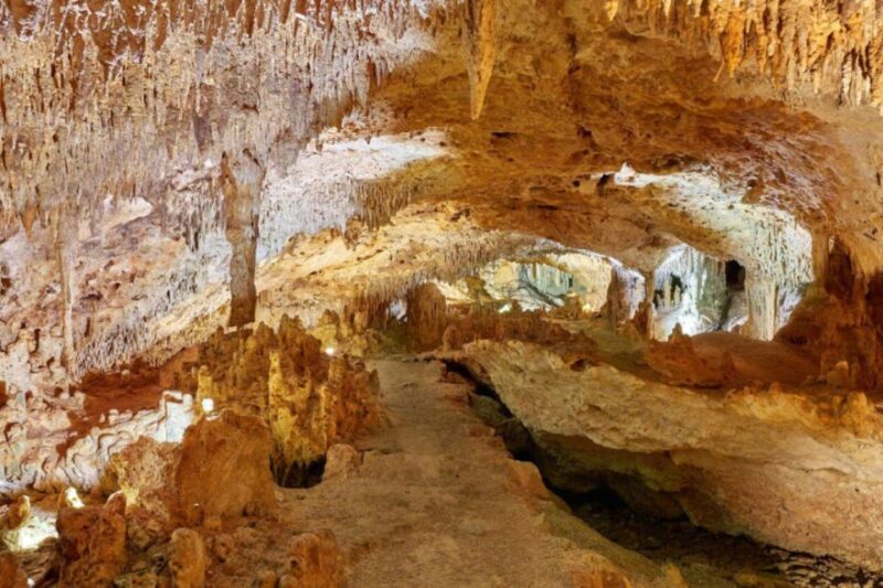 Tulum: Akumal Turtles and Underground Cenote Swim Tour - Activities and Highlights