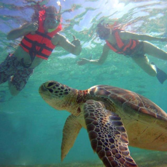 Tulum: Akumal Turtles,Tulum Ruins & Tankah Park Private Tour - Visiting the Tulum Ruins