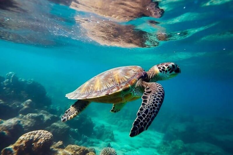 Tulum: An Exclusive Private Tour Beyond Expectations - Private Cenote Experience