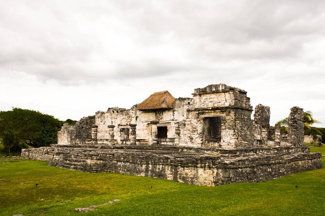 Tulum and 2 Cenotes Half Day Tour From Riviera - Customer Experiences: Positive Feedback