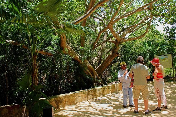Tulum and Cenote Casa Tortuga Day Trip - Accessibility and Requirements
