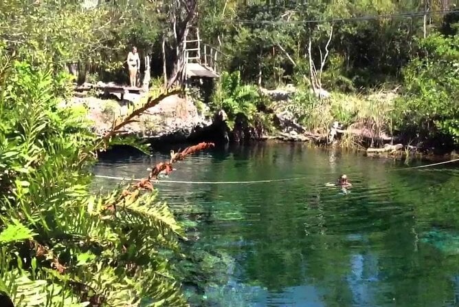 Tulum and Cenote Shared Day Trip - Frequently Asked Questions