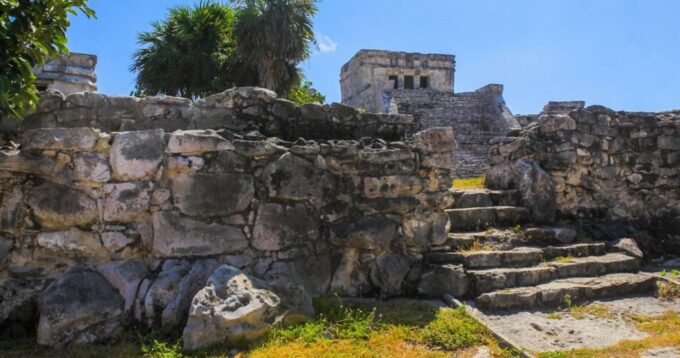 Tulum and Coba Cenote Plus - Contact Information