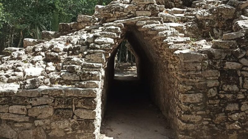 Tulum and Coba: Full-Day Archaeological Tour With Lunch - Included Services