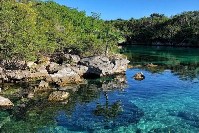 Tulum and Xel-Ha All-Inclusive Day Trip From Cancun - Traveler Feedback