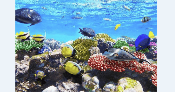 Tulum: Aquatic Adventure: Yalku, Cenote & Kaan Luum Lagoon - Discover Labnaha Cenote