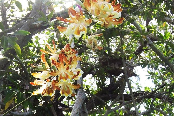 Tulum Archaeological Site & Sian Kaan Muyil Tour From Tulum - Group Size
