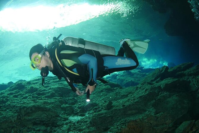 Tulum Area Experiences Guided 2 Tank Scuba Dive Casa Cenote & Barrier Reef-Lunch - Activities and Inclusions