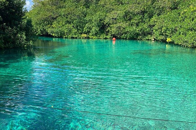Tulum Area Experiences Guided 2 Tank Scuba Dive Casa Cenote & Barrier Reef-Lunch - Mayan Lunch Included