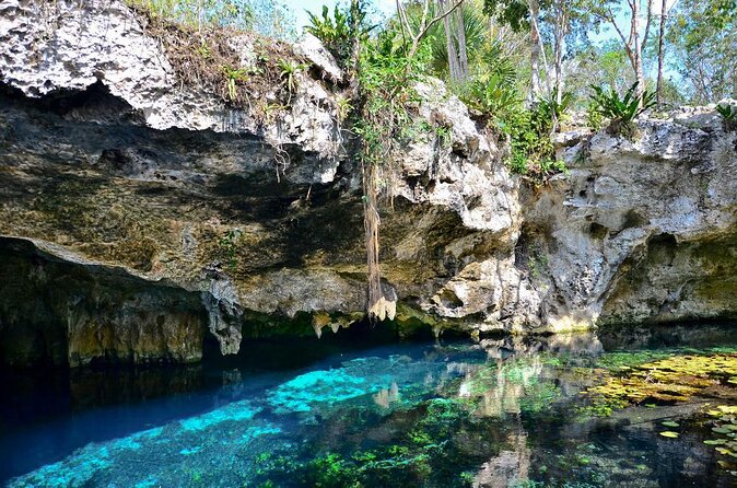 Tulum Area Experiences Guided ATV Tour to 3 Cenotes, Snorkel/Swim & Local Lunch - Key Points