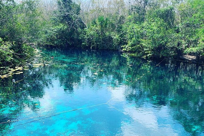 Tulum Area Experiences Guided ATV Tour to 3 Cenotes, Snorkel/Swim & Local Lunch - Guidelines for Participants