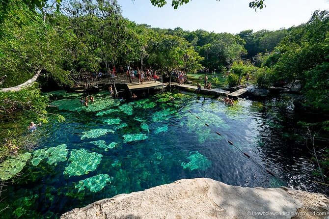Tulum Area Experiences Guided E-Bike Tour- 3 Cenotes Snorkel/Swim & Local Lunch - Mayan Lunch Experience