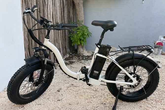 Tulum Area Experiences Guided E-Bike Tour- 3 Cenotes Snorkel/Swim & Local Lunch - Traveler Capacity and Ratings