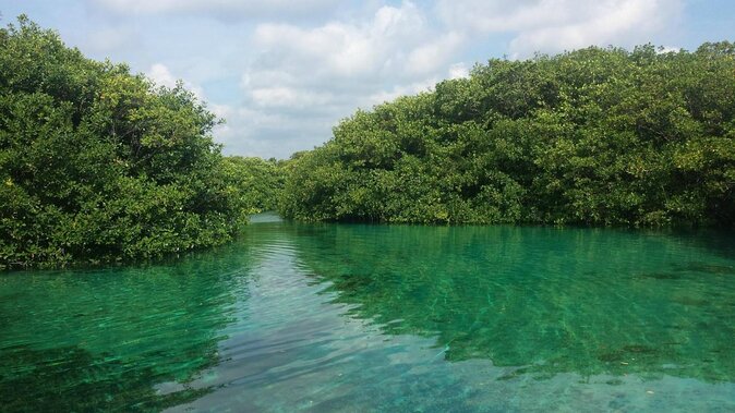 Tulum Area Experiences Guided Snorkeling Tour - Casa Cenote + Ocean Reef & Lunch - Key Points