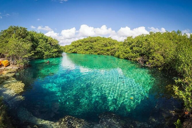 Tulum Area Experiences Guided Snorkeling Tour - Casa Cenote + Ocean Reef & Lunch - Snorkeling Destinations