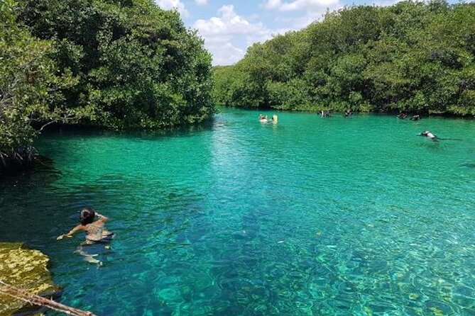 Tulum Area Experiences Guided Snorkeling Tour - Casa Cenote + Ocean Reef & Lunch - Traveler Reviews and Feedback
