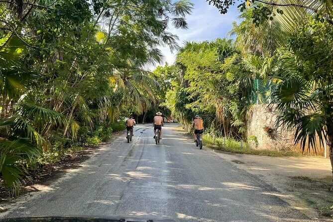 Tulum Area Guided E-Bike + Snorkeling Jungle Tour - Dos Ojos & 2 Cenotes + Lunch - The Experience: What to Expect from This Tulum Adventure