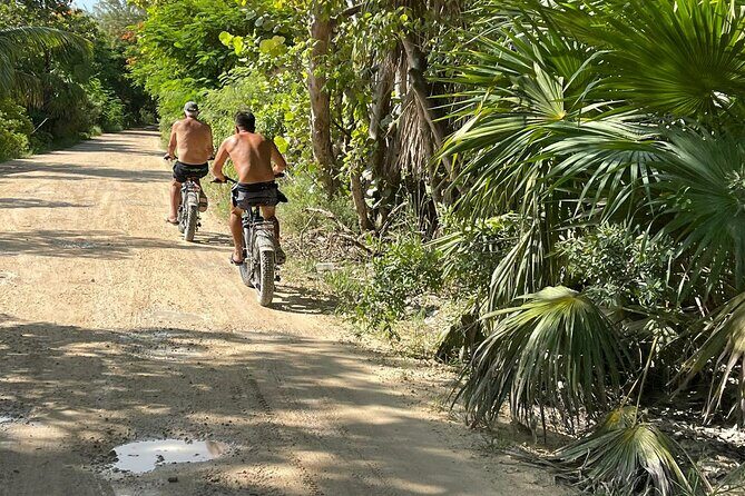 Tulum Area Guided E-Bike + Snorkeling Jungle Tour - Dos Ojos & 2 Cenotes + Lunch - Price and Value Analysis