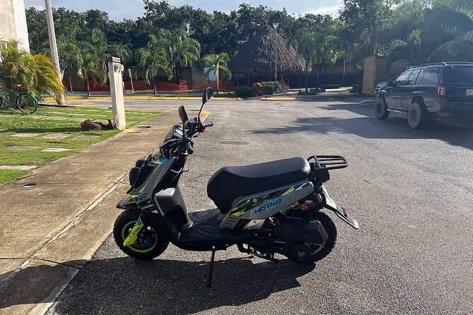 Tulum Area Guided Scooter Tour to 3 Cenotes, Snorkel/Swim & Local Lunch - Explore the Enchanting Cenotes