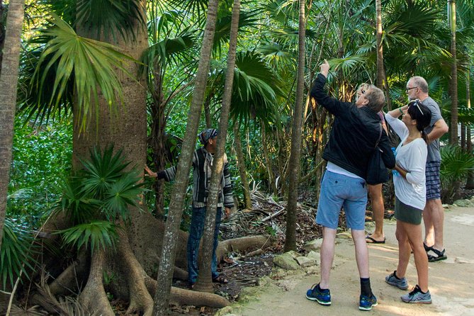 Tulum Bike Tour Tulum Maya Ruins Cenote Swimming Pueblo History Art Tacos Lunch - Health and Safety