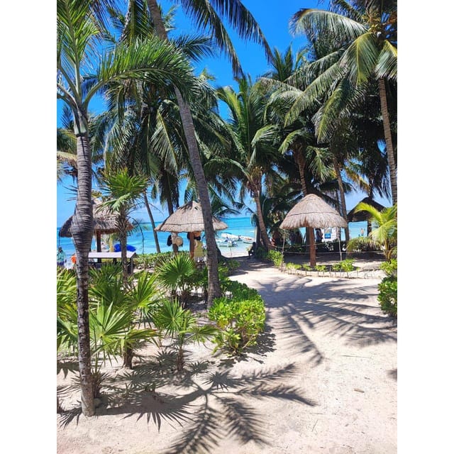 Tulum, Cenote and Swimming With Turtles PRIVATE TOUR - Itinerary and Activities