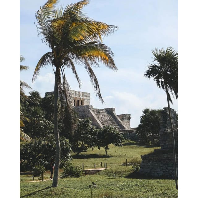 Tulum, Cenote and Swimming With Turtles PRIVATE TOUR - Transportation and Inclusions