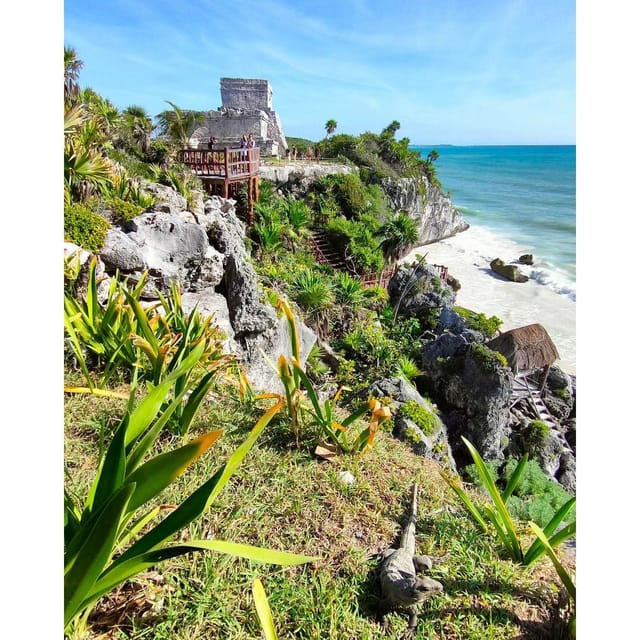Tulum, Cenote and Swimming With Turtles PRIVATE TOUR - Snorkel With Turtles in Akumal