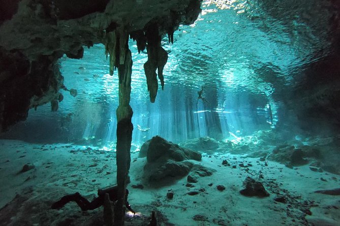 Tulum Cenote Diving. the Real Mayan Underworld - Reviews and Pricing Information