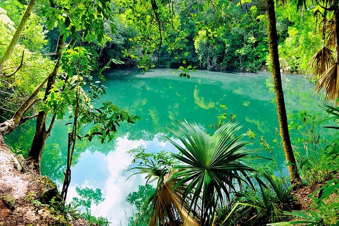TULUM, CENOTE, MYSTIKA MUSEUM, TURTLES SNORKELING (Private) - Knowledgeable Local Guide Assistance
