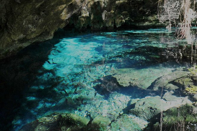 TULUM, CENOTE, MYSTIKA MUSEUM, TURTLES SNORKELING (Private) - Included Admission and Amenities