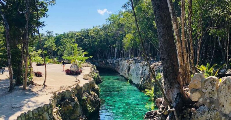 Tulum: Cenote Park Casa Tortuga & Tulum Ruins! From Tulum - Transportation and Inclusions