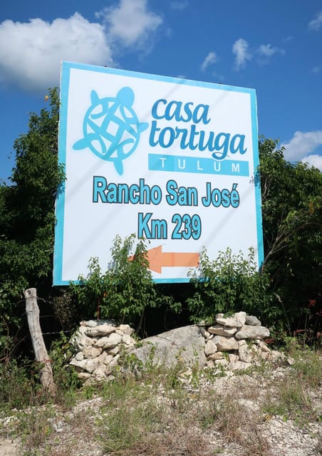 Tulum: Cenote Park Casa Tortuga & Tulum Ruins! From Tulum - Exploring Casa Tortuga Park