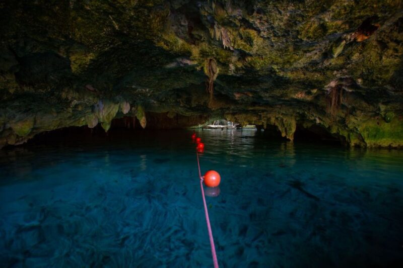 Tulum: Cenote Trail Bike Tour - Tour Experience & Activities