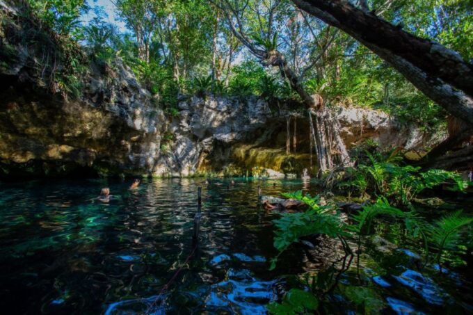 Tulum: Cenote Trail Bike Tour - Knowledgeable Guides and Safe Transport