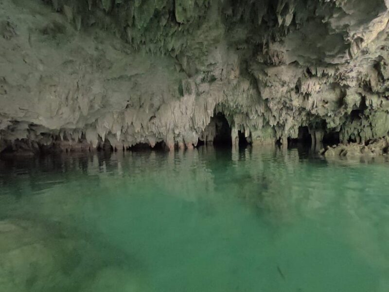 Tulum Cenotes: Yum Ha, Luna, and Sombra Cenotes Tour, Lunch - Itinerary & Transportation