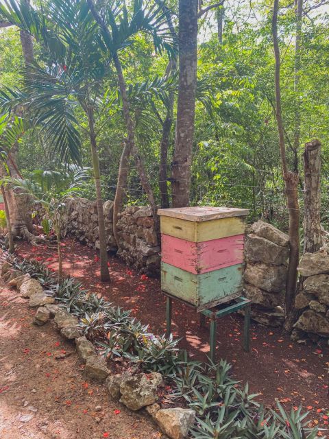 Tulum: Chichen Itza Ruins, Honey Tour With Lunch - Exploring Valladolids Colonial Charm