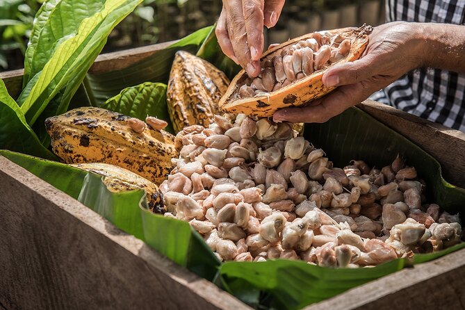 Tulum: Chocolate & Honey Sanctuary Experience With Cenote - Customer Reviews