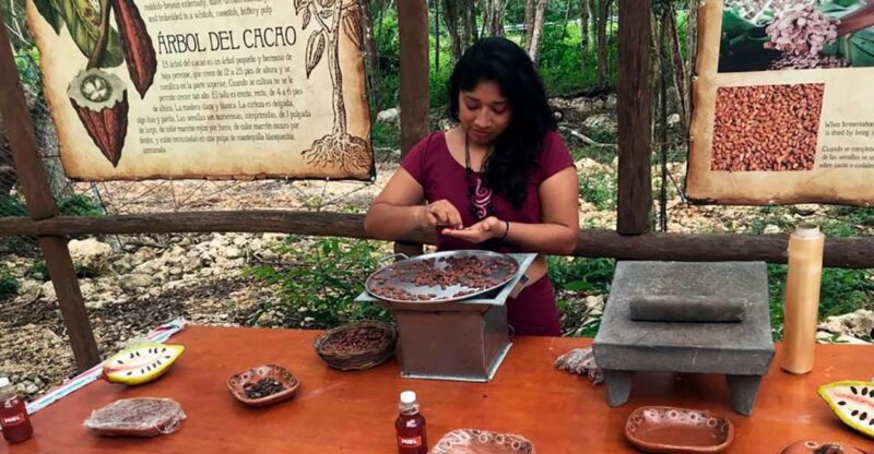 Tulum: Chocolate & Honey Sanctuary Experience With Lunch - Activity Highlights