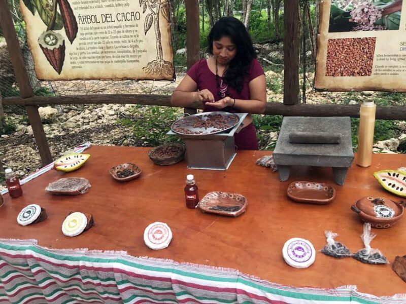 Tulum: Chocolate & Honey Sanctuary Experience With Lunch - Guided Tour