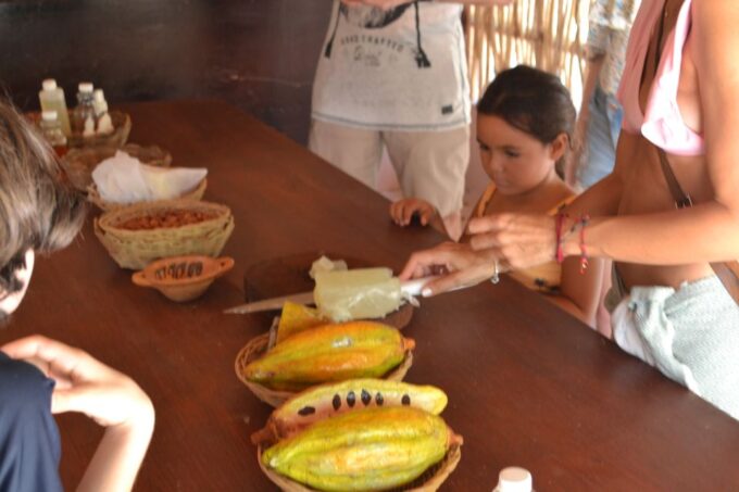 Tulum: Chocolate & Honey Sanctuary Experience With Lunch - Customer Feedback and Ratings