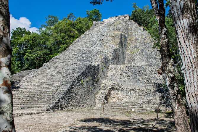 Tulum, Coba, Cenote Kuxtal and Playa Del Carmen! Deluxe 4x1 Tour - Reviews and Feedback