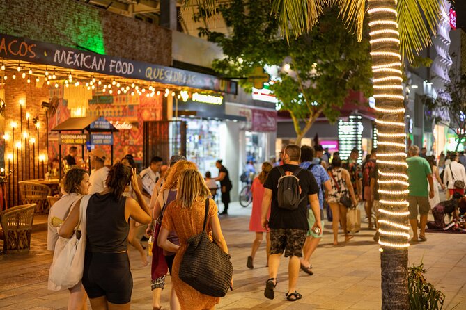 Tulum, Coba, Cenote & PDC Tour - All Inclusive, No Hidden Fees - Accessibility