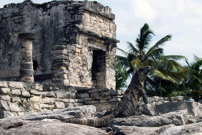 Tulum, Coba, Sacred Cenote and Playa Del Carmen Transport and Lunch Included - Pricing and Payment Options