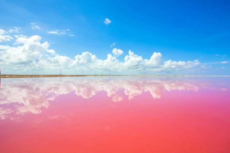 Tulum: Coloradas Pink Lake & Rio Lagartos Adventure - Important Information