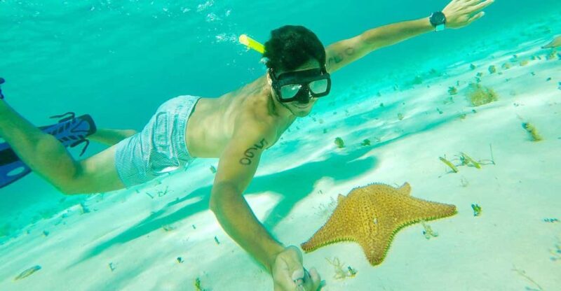 Tulum: Cozumel Cielo Adventure! Round Trip From Tulum City - Key Points