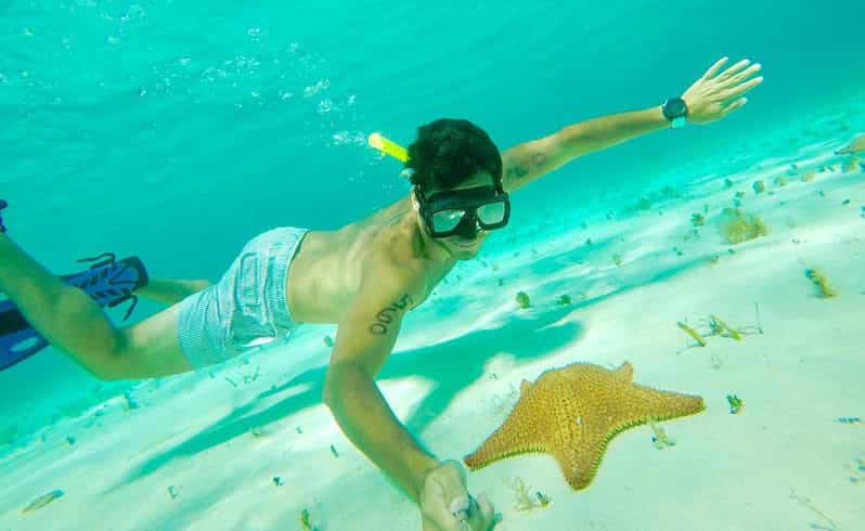 Tulum: Cozumel Cielo Adventure! Round Trip From Tulum City - Itinerary Highlights