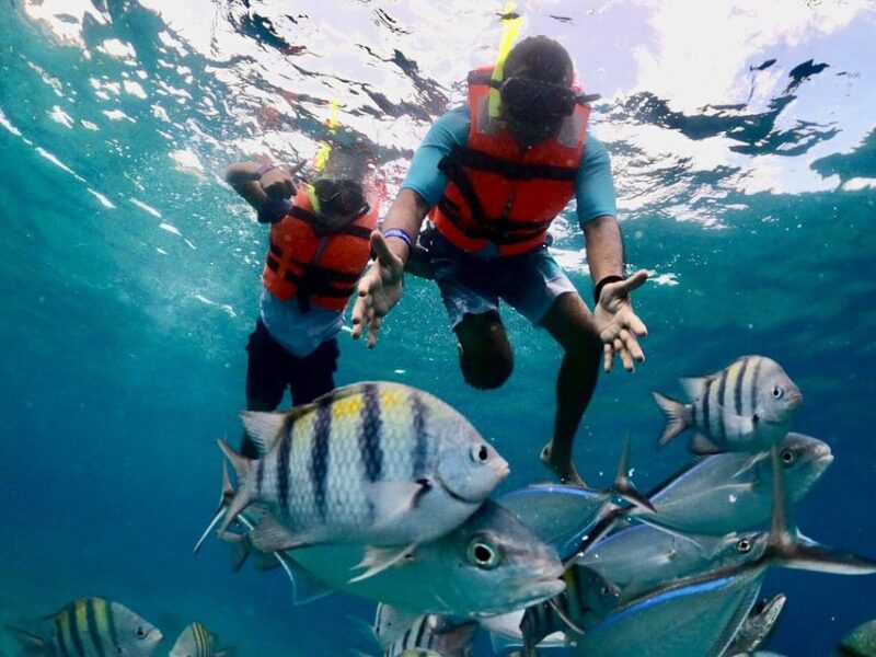 Tulum: Cozumel Cielo Adventure! Round Trip From Tulum City - Preparation and Restrictions