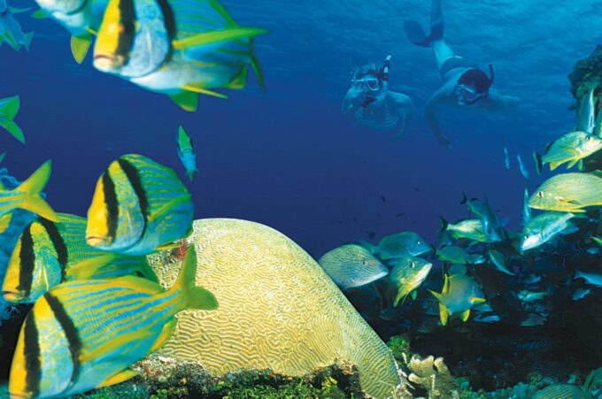 Tulum: Cozumel Cielo Adventure! Round Trip From Tulum City - Frequently Asked Questions
