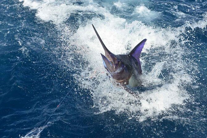 Tulum Deep Sea Fishing Tour - Customer Feedback Summary